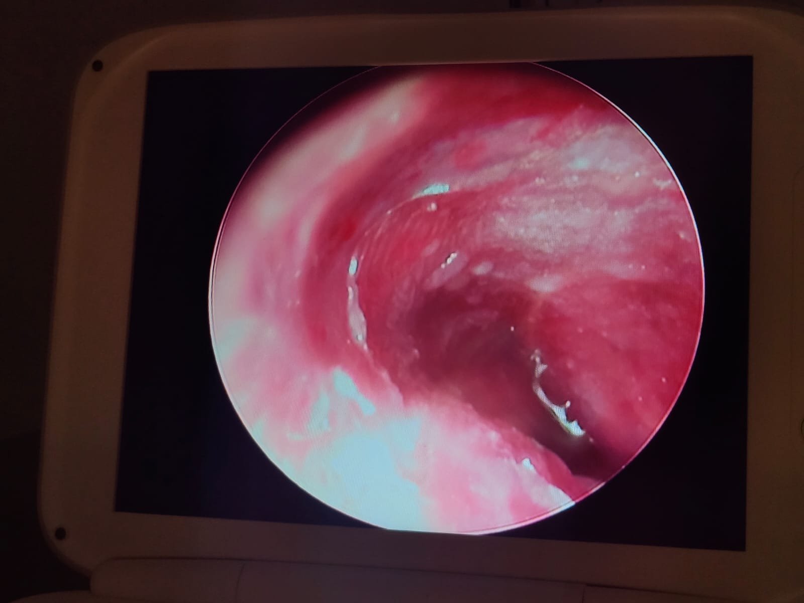 WhatsApp Image 2023-02-09 at 10.38.53