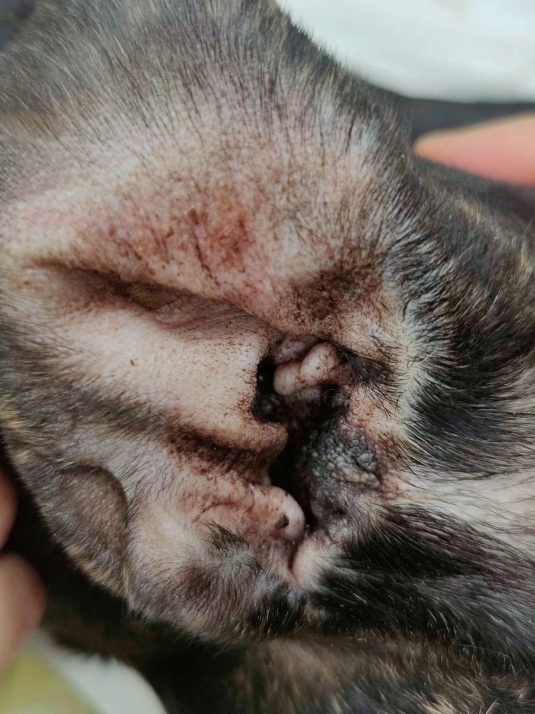 df86699e-96ed-4a98-86f7-457582928082 df86699e-96ed-4a98-86f7-457582928082