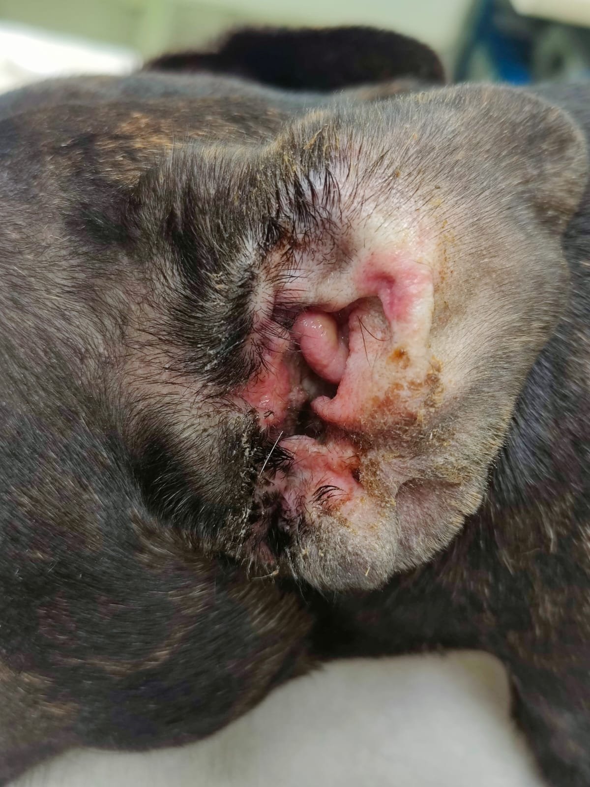 WhatsApp Image 2023-02-09 at 10.35.58 (2)