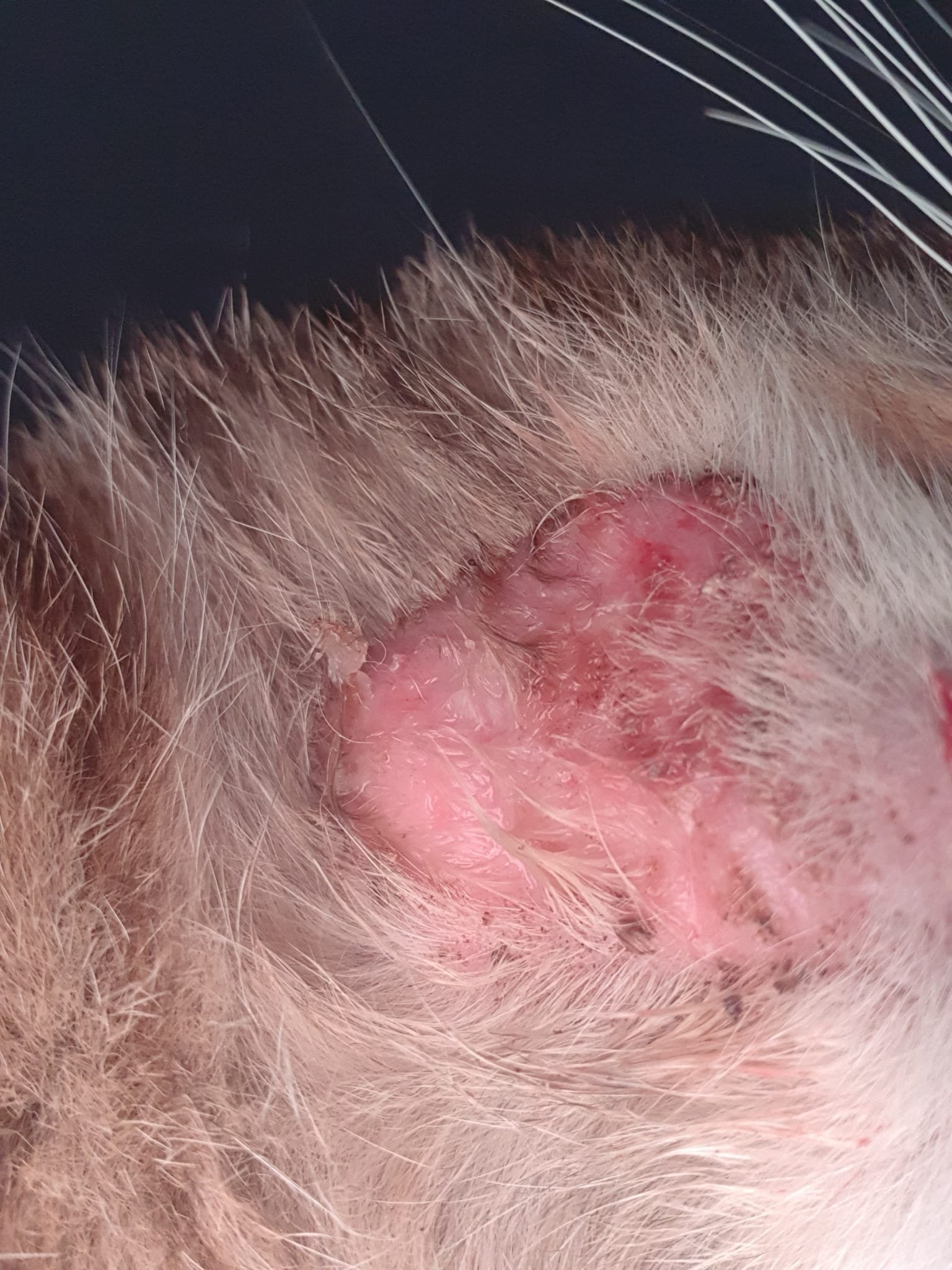 WhatsApp Image 2023-02-09 at 17.20.37 (1)